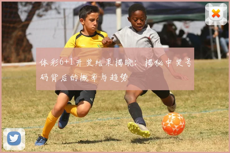 体彩6+1开奖结果揭晓:揭秘中奖号码背后的概率与趋势