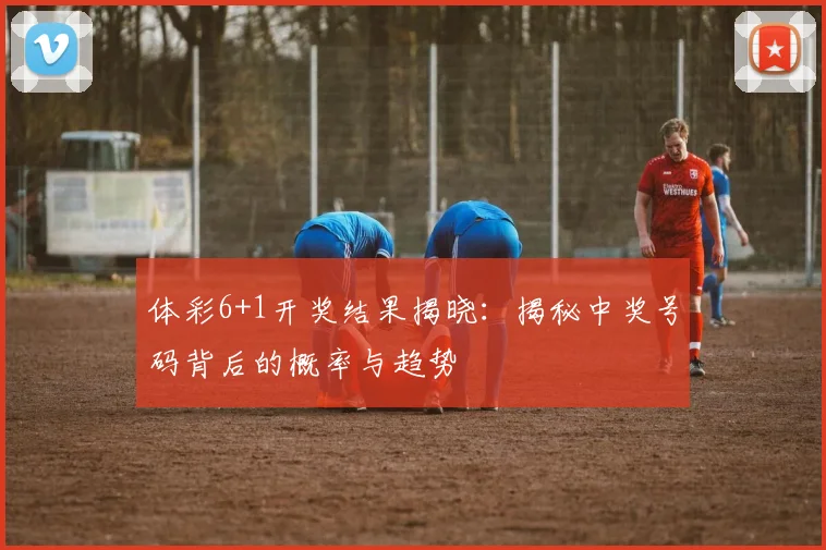 体彩6+1开奖结果揭晓:揭秘中奖号码背后的概率与趋势