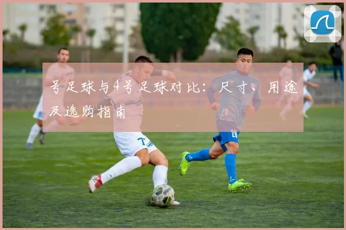 号足球与4号足球对比:尺寸、用途及选购指南